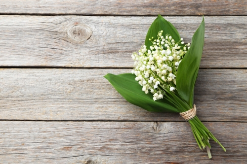 Muguet.jpeg