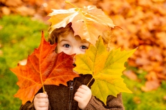 automne-couleurs.jpg